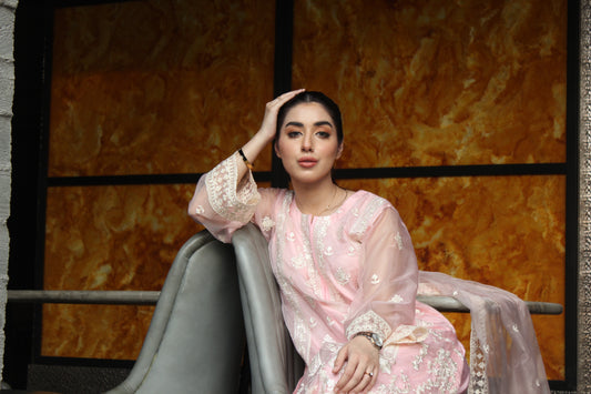 3-Piece Embroidered Stitched Organza Suit - SES2